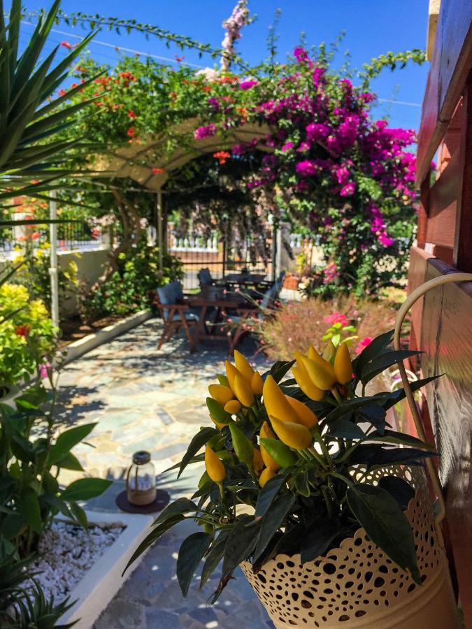 Nikodimos Garden Studios Agios Georgios  Luaran gambar